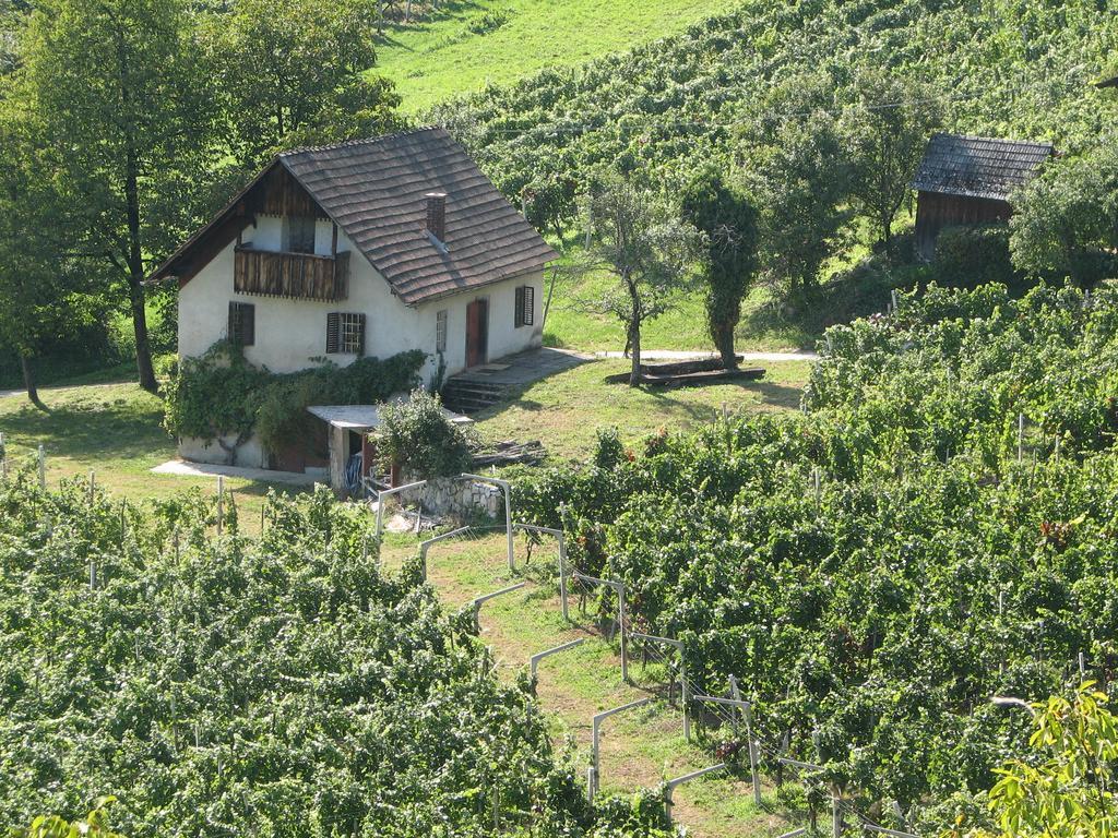 Guesthouse Zorko Gostilna Domen Šmarješke Toplice Exteriör bild