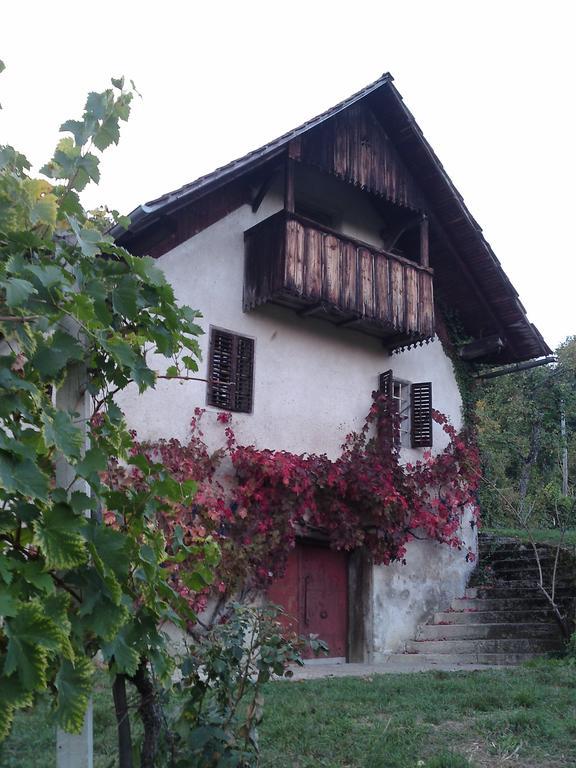 Guesthouse Zorko Gostilna Domen Šmarješke Toplice Exteriör bild