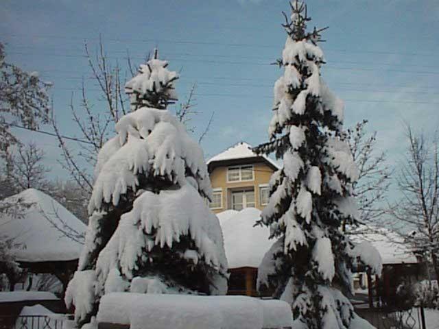 Guesthouse Zorko Gostilna Domen Šmarješke Toplice Exteriör bild